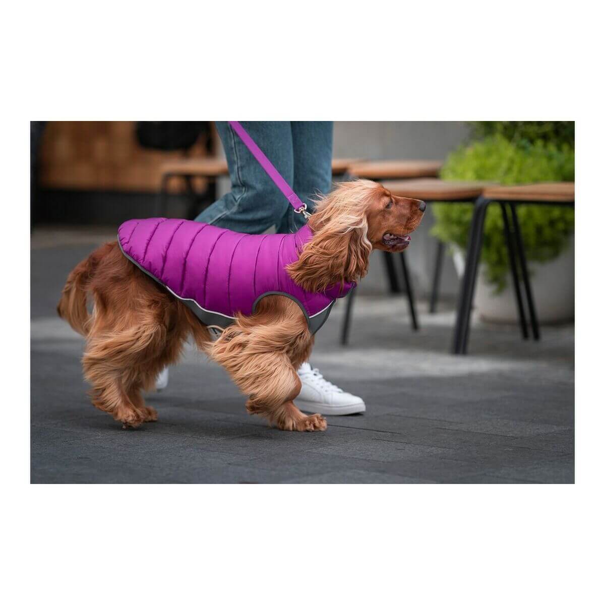 Manteau pour chien Red Dingo chaud et confortable - Bien-être & style