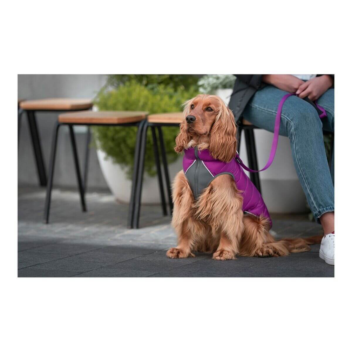 Manteau pour chien Red Dingo chaud et confortable - Bien-être & style